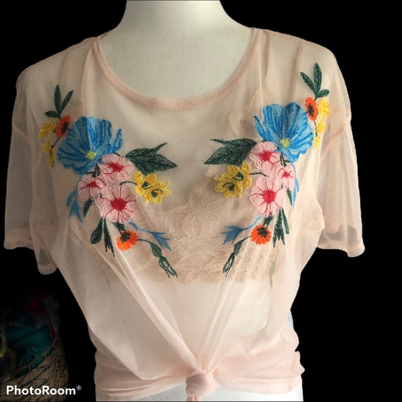 ZARA SHEER EMBROIDERED BLUSH BOXY TSHIRT - Picture 6 of 6